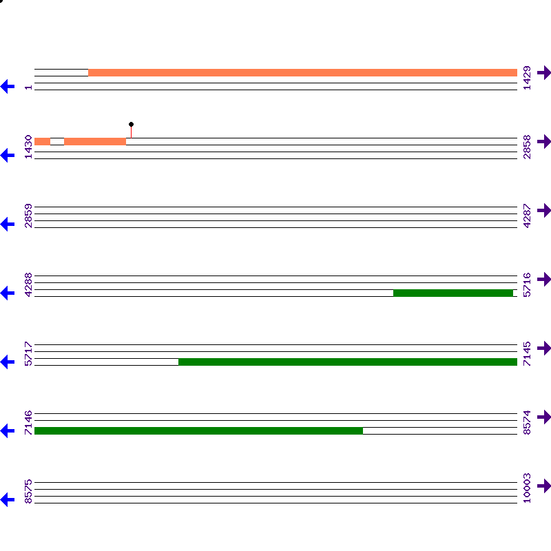Genome View