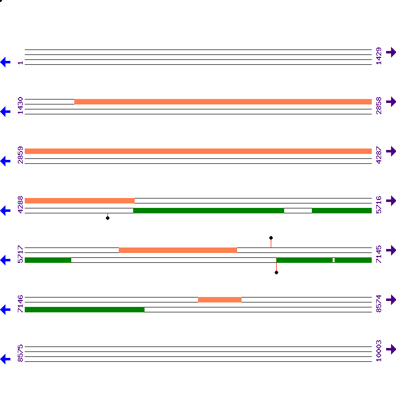 Genome View