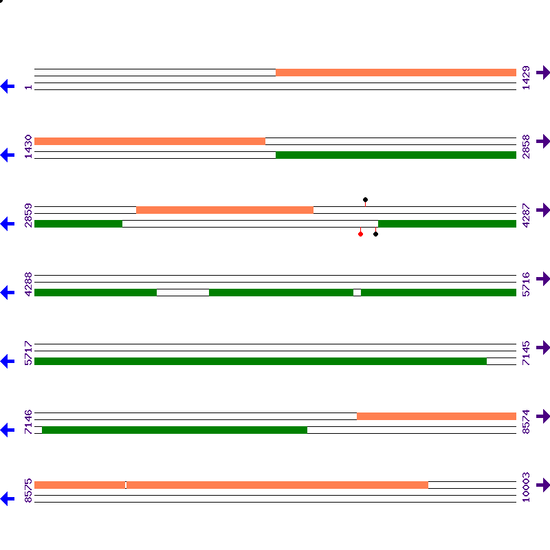 Genome View