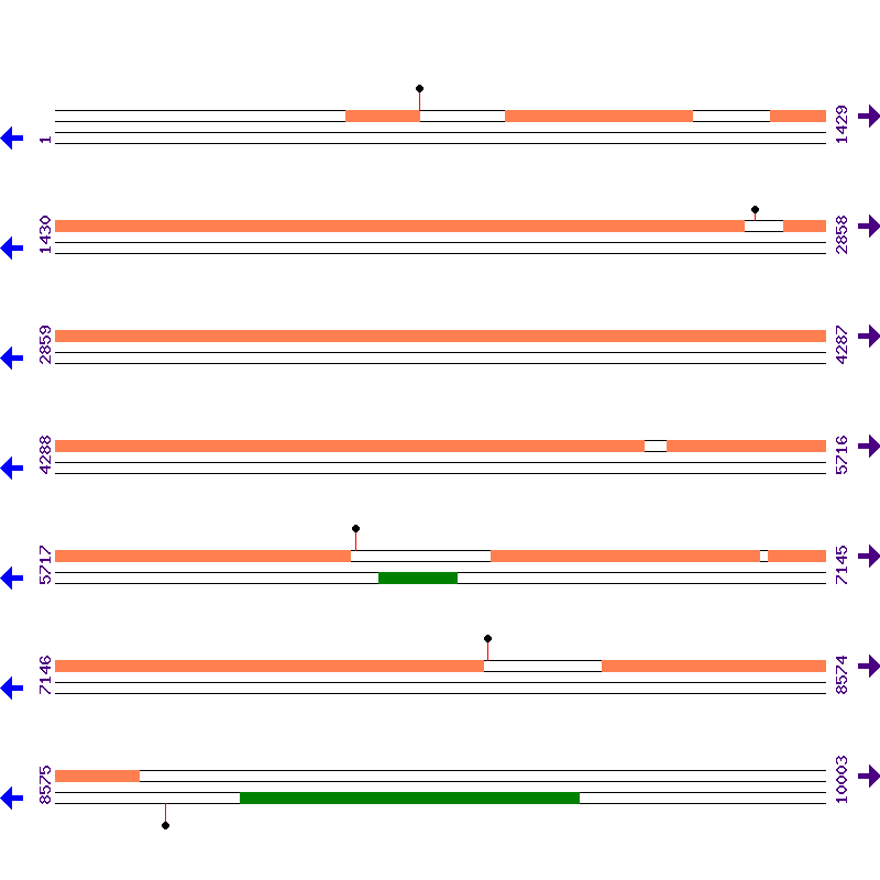 Genome View