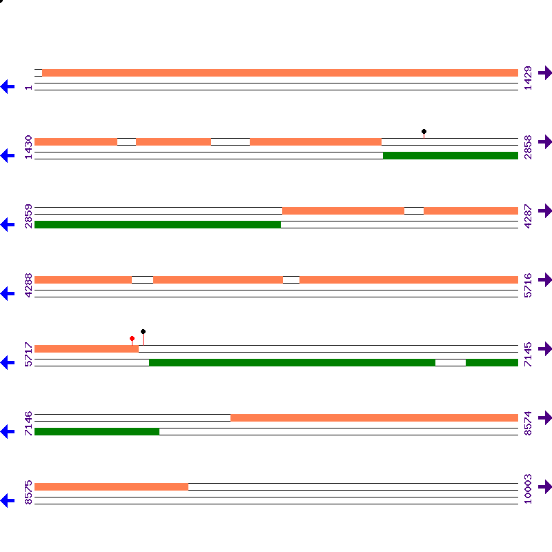Genome View