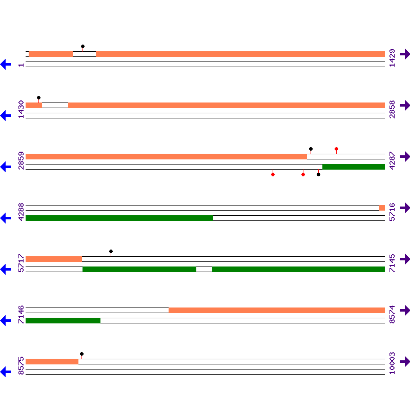 Genome View