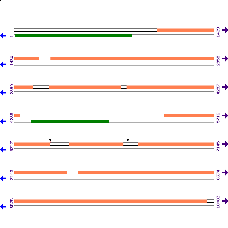 Genome View
