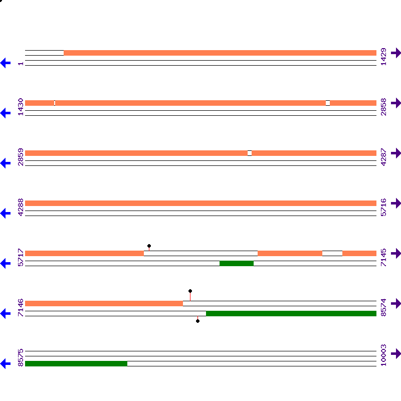 Genome View