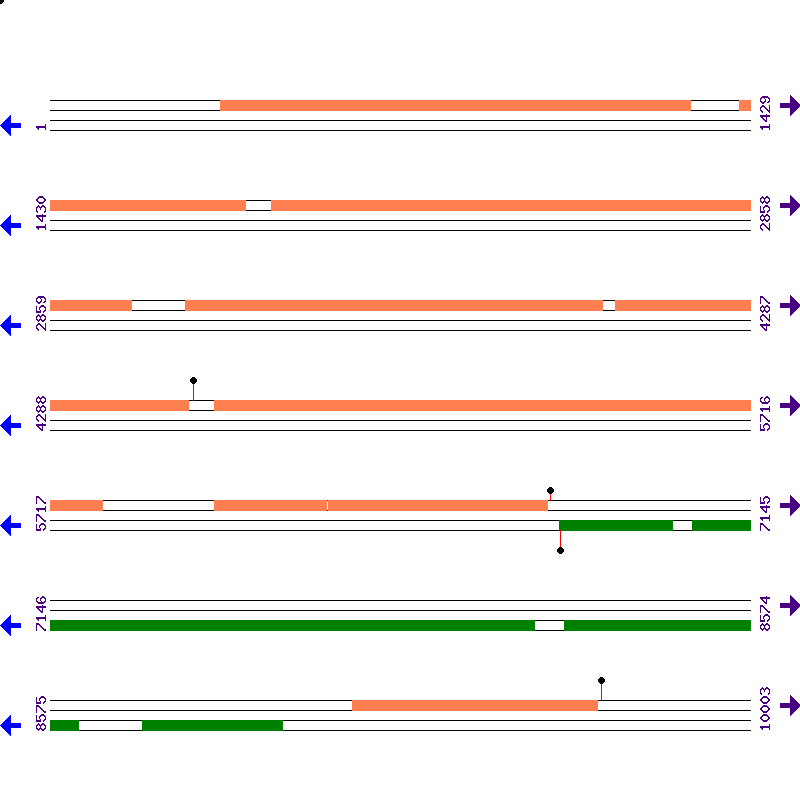 Genome View
