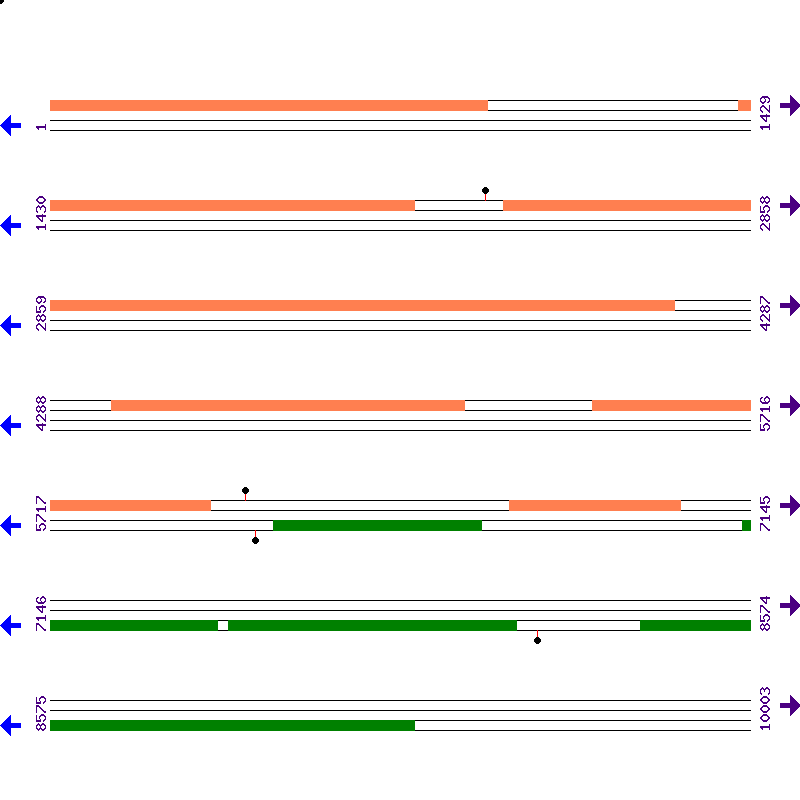 Genome View