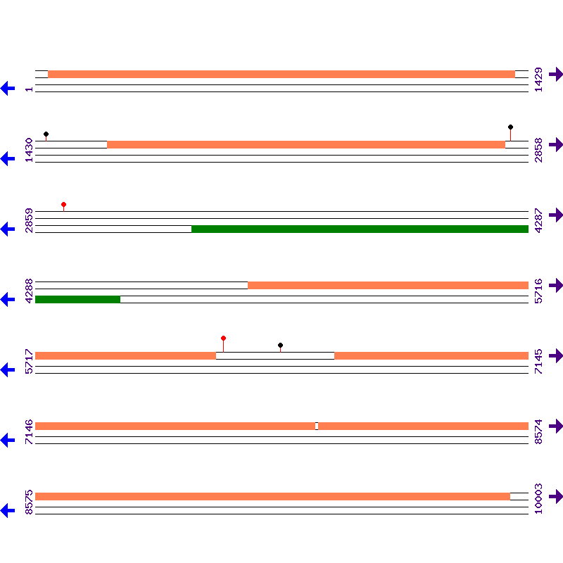Genome View