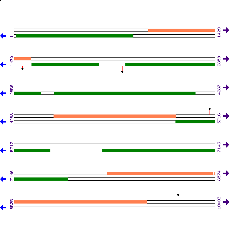Genome View