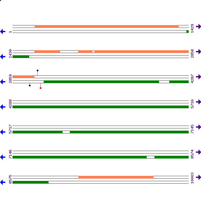 Genome View