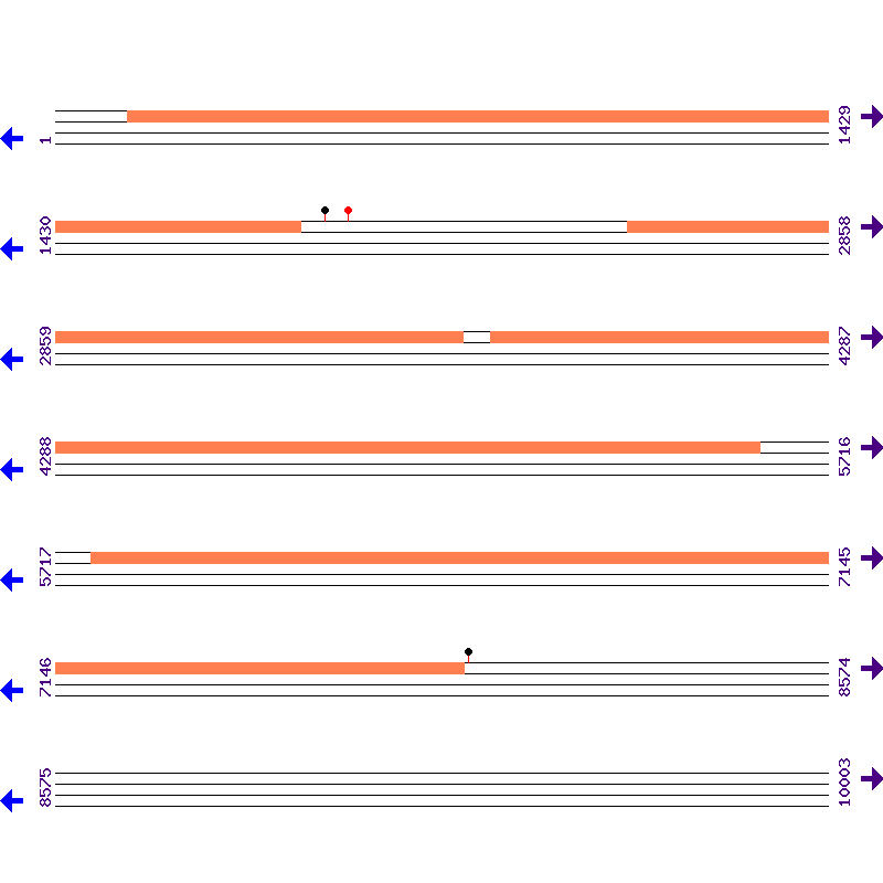 Genome View