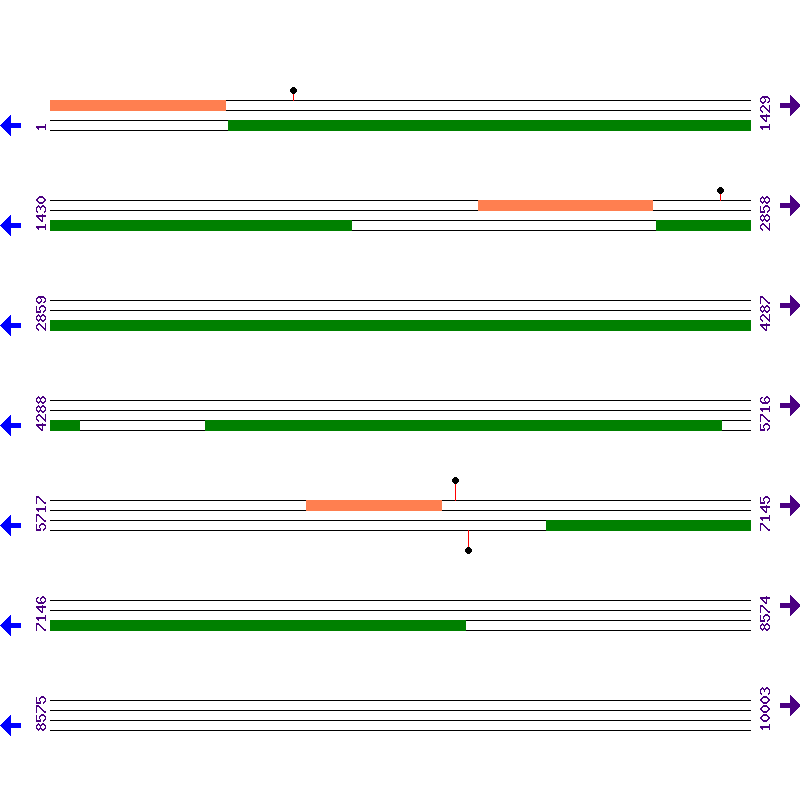 Genome View