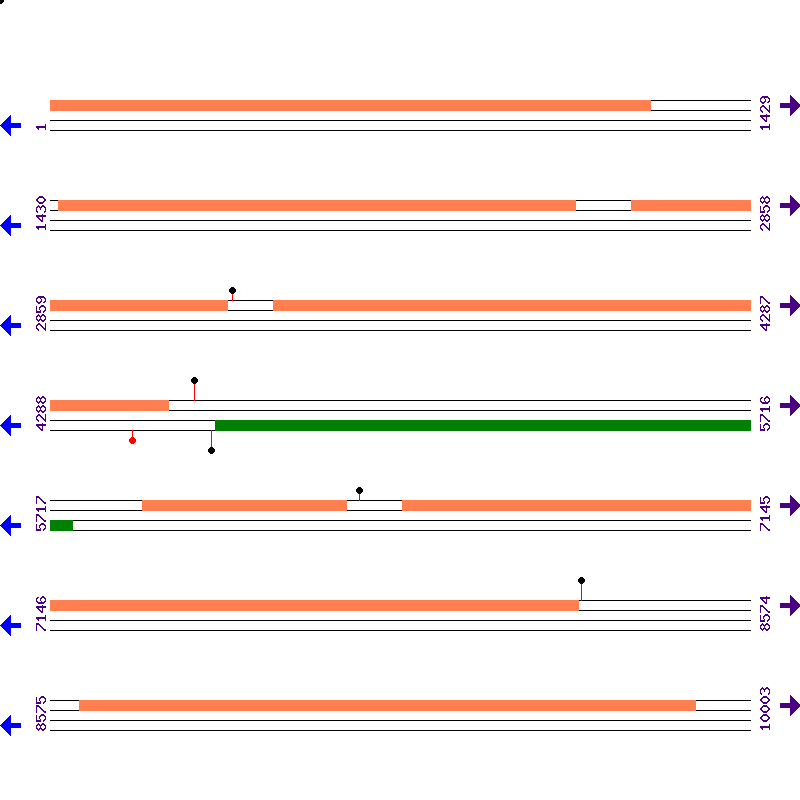 Genome View
