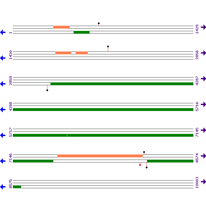 Genome View