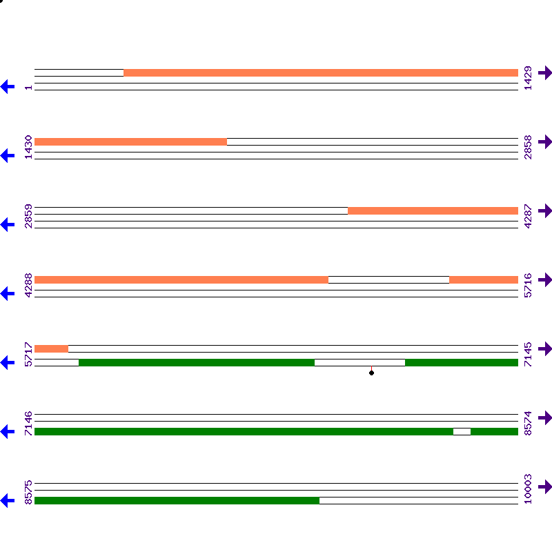 Genome View