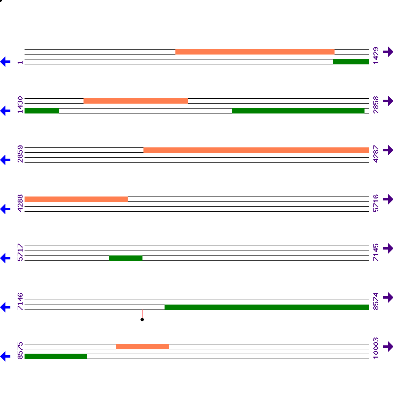 Genome View