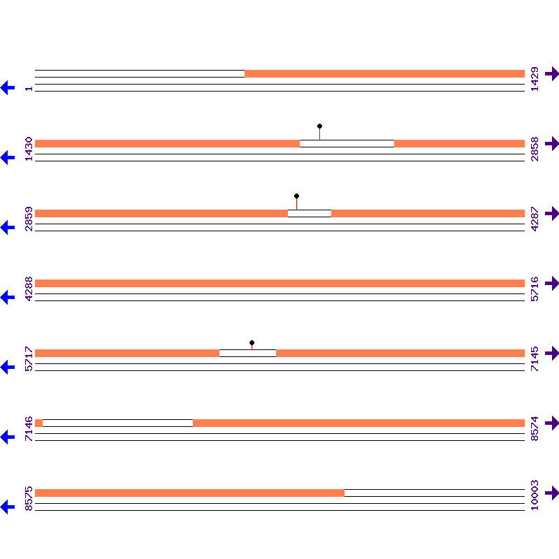 Genome View