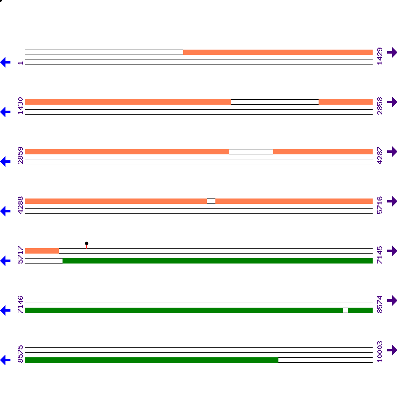 Genome View