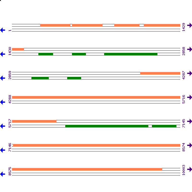Genome View