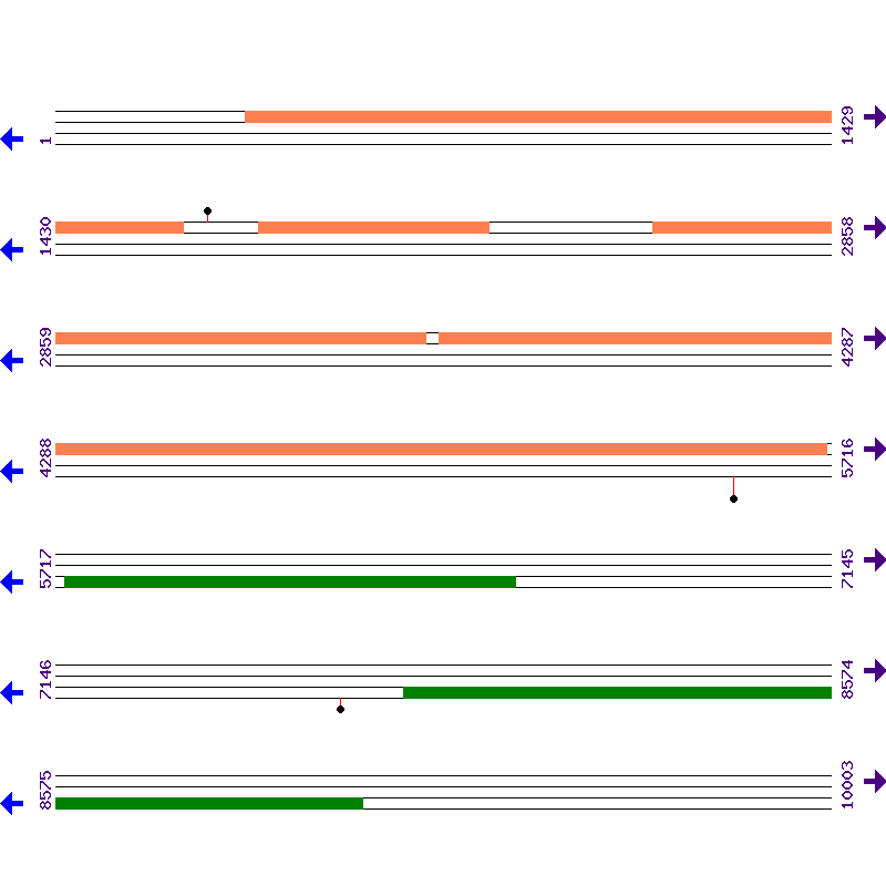 Genome View