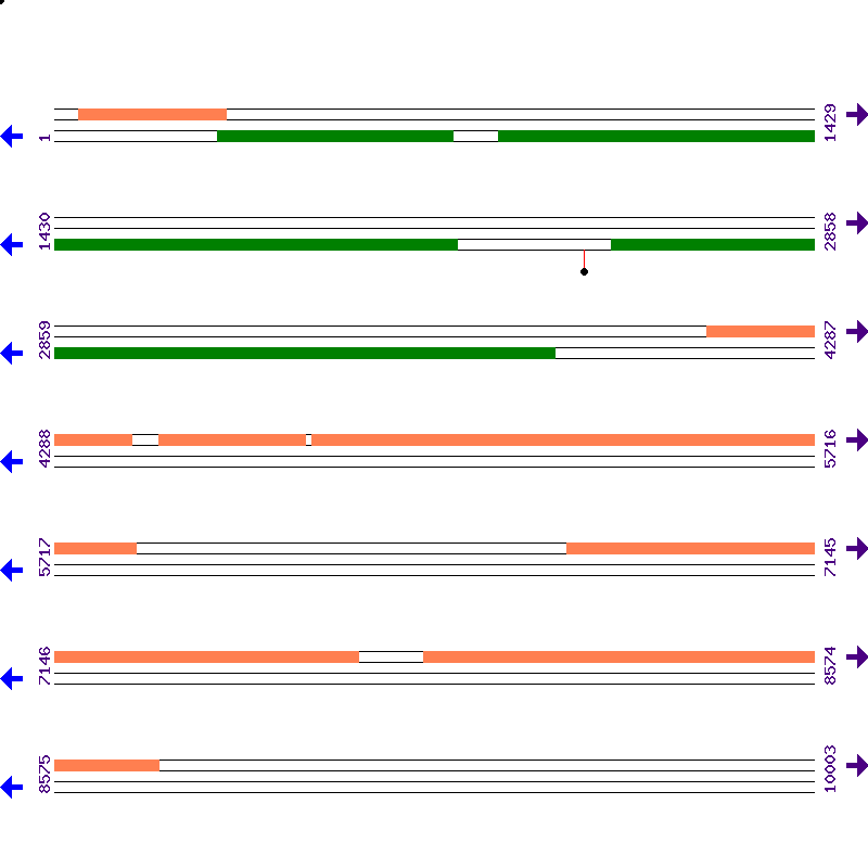 Genome View
