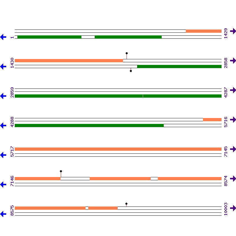 Genome View