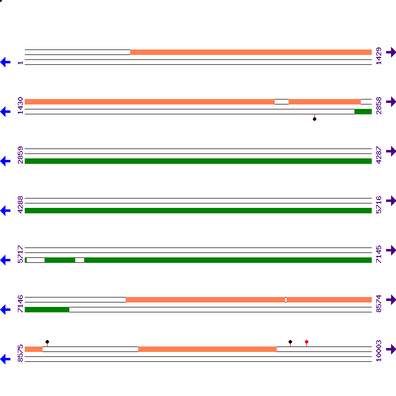 Genome View