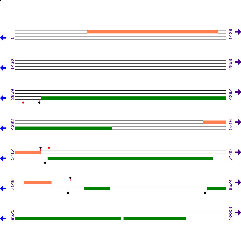 Genome View