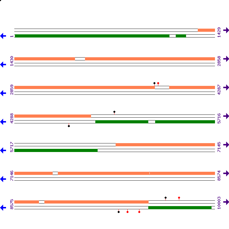 Genome View