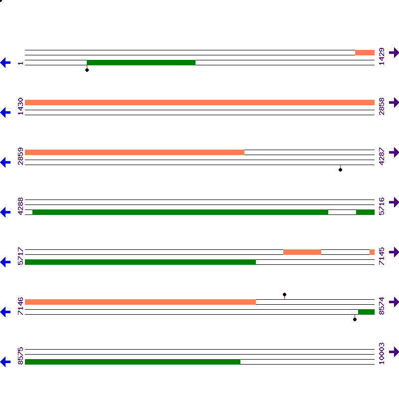 Genome View