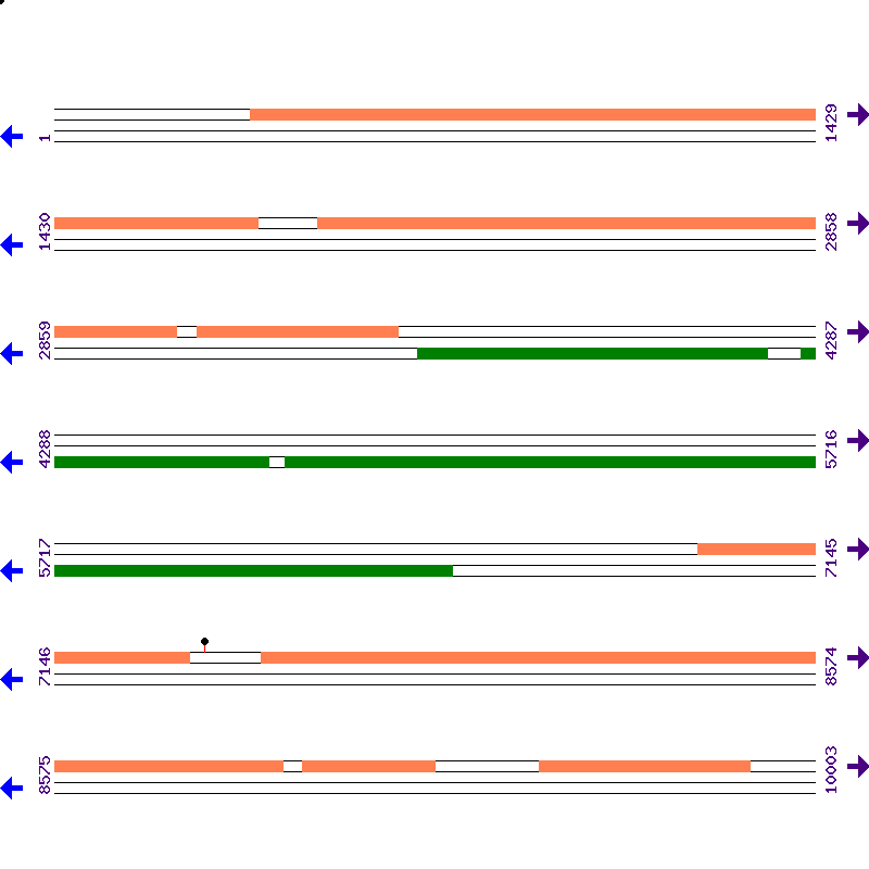 Genome View