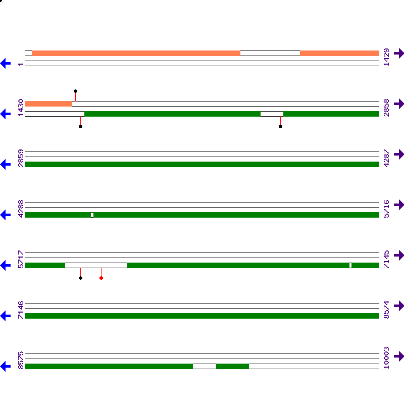 Genome View