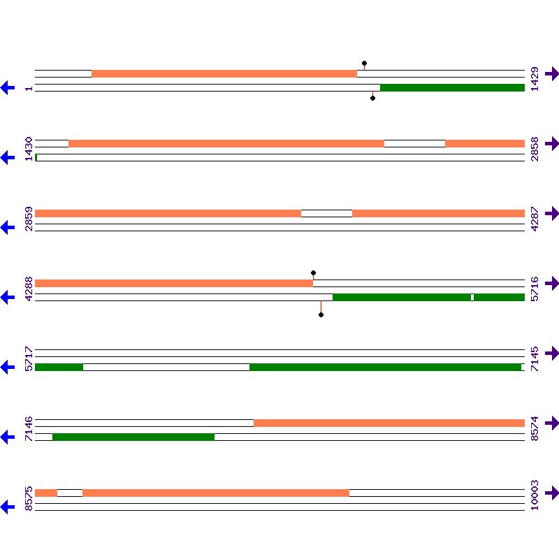 Genome View