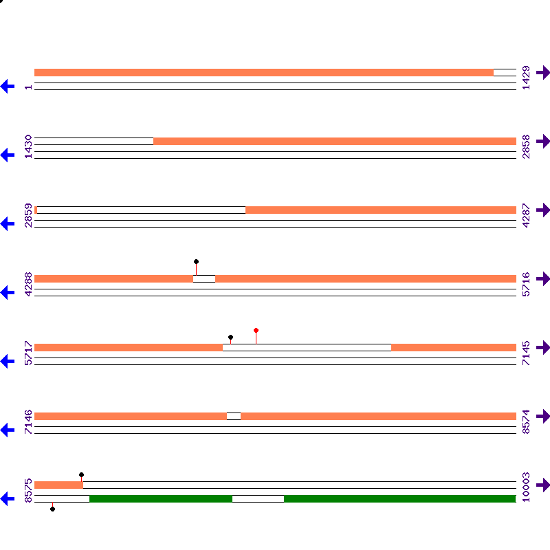 Genome View