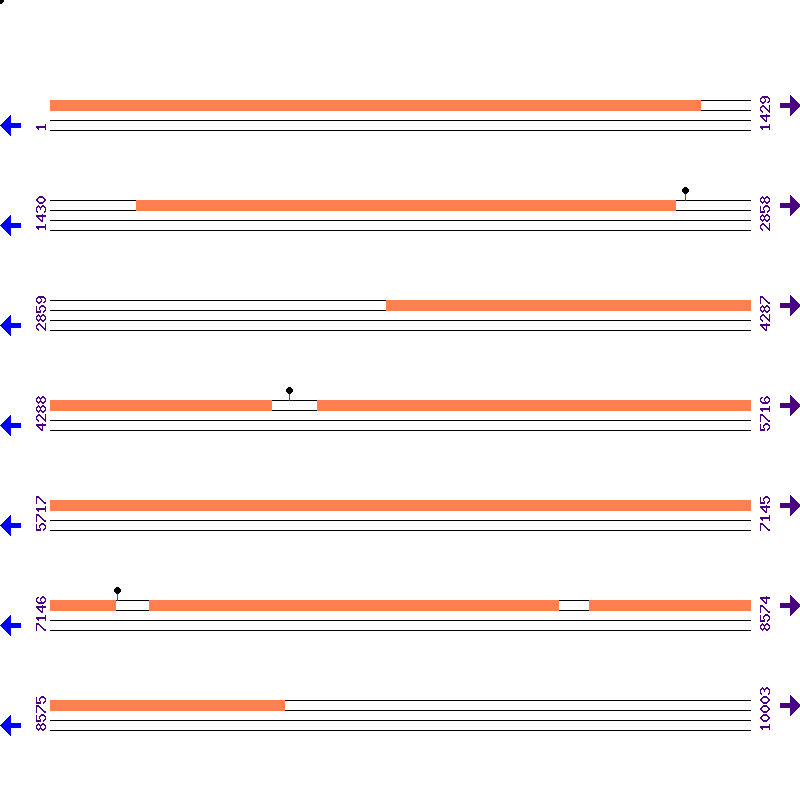 Genome View