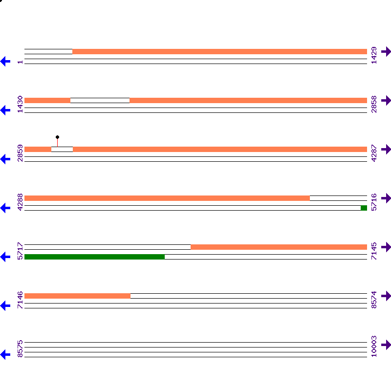 Genome View