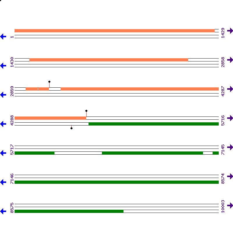 Genome View