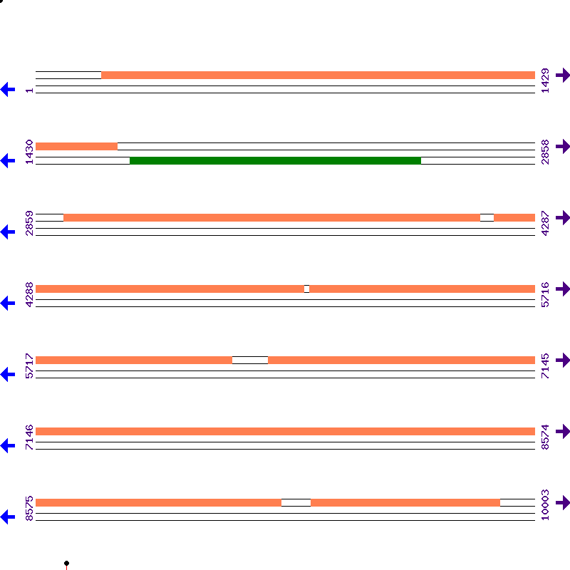 Genome View