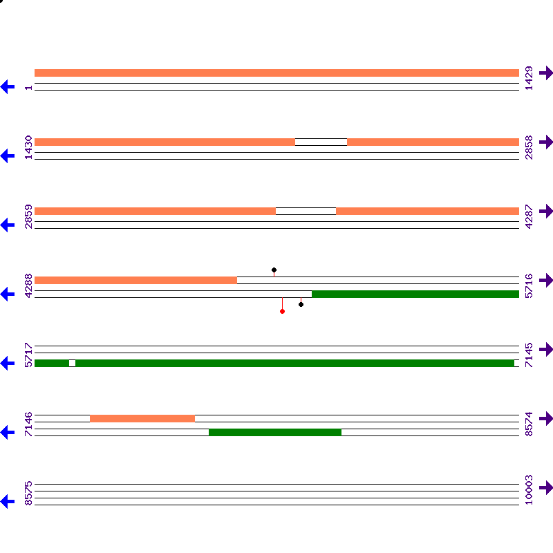 Genome View