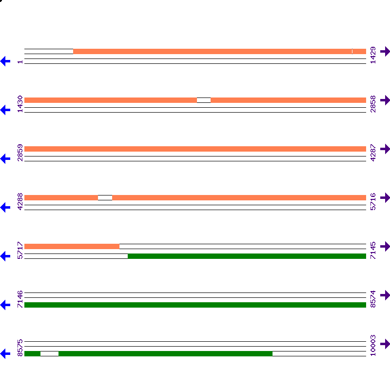 Genome View