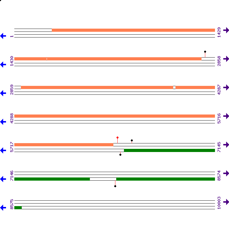 Genome View