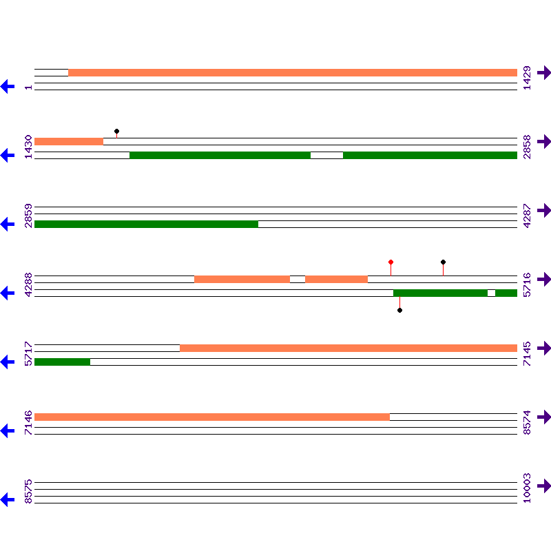 Genome View