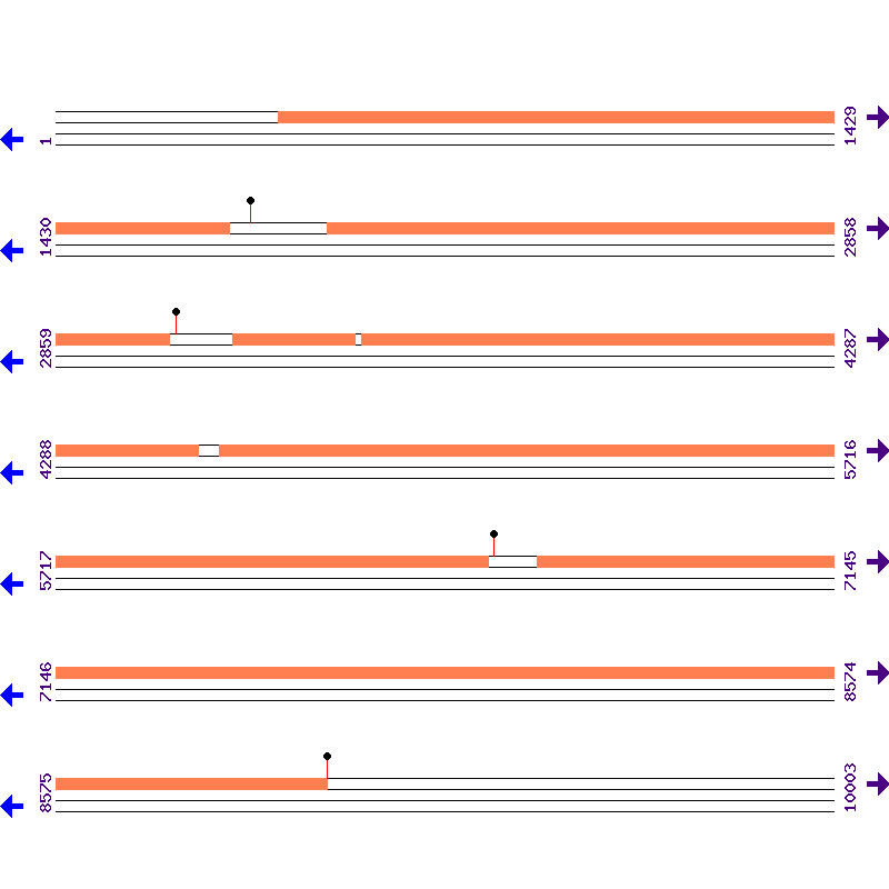 Genome View
