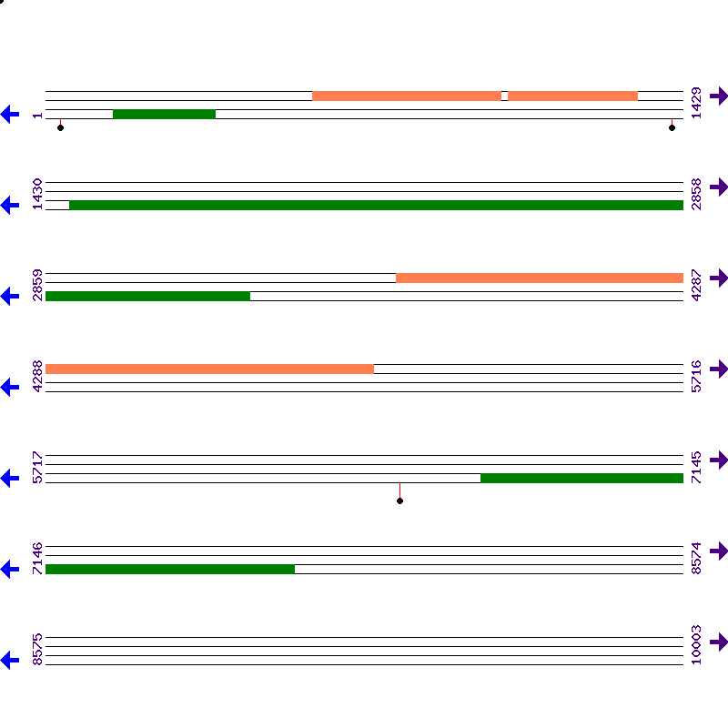 Genome View