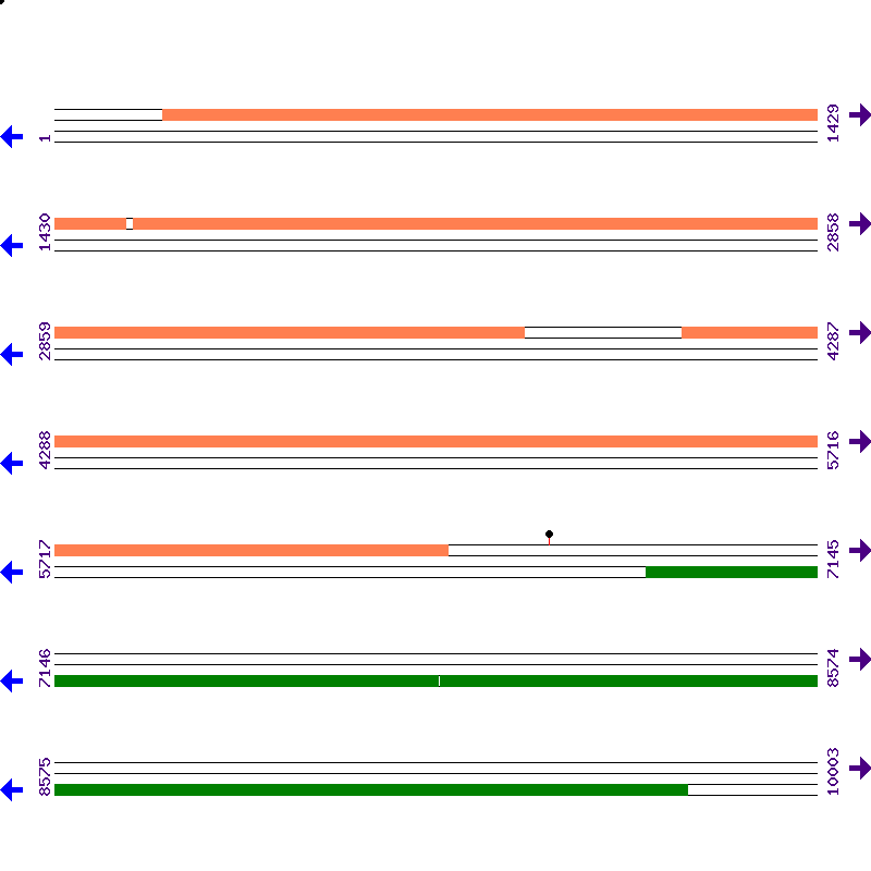 Genome View
