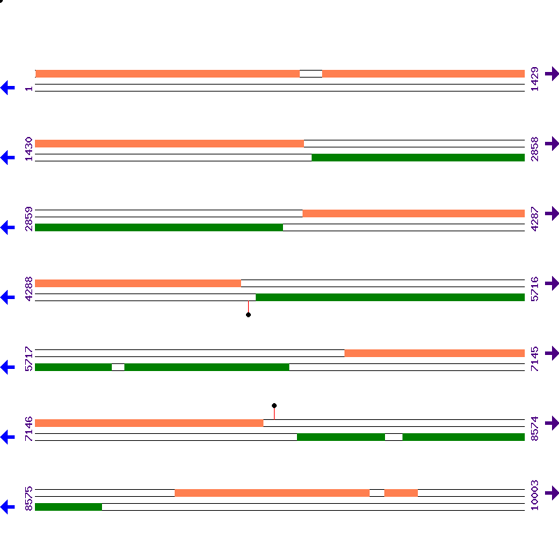 Genome View