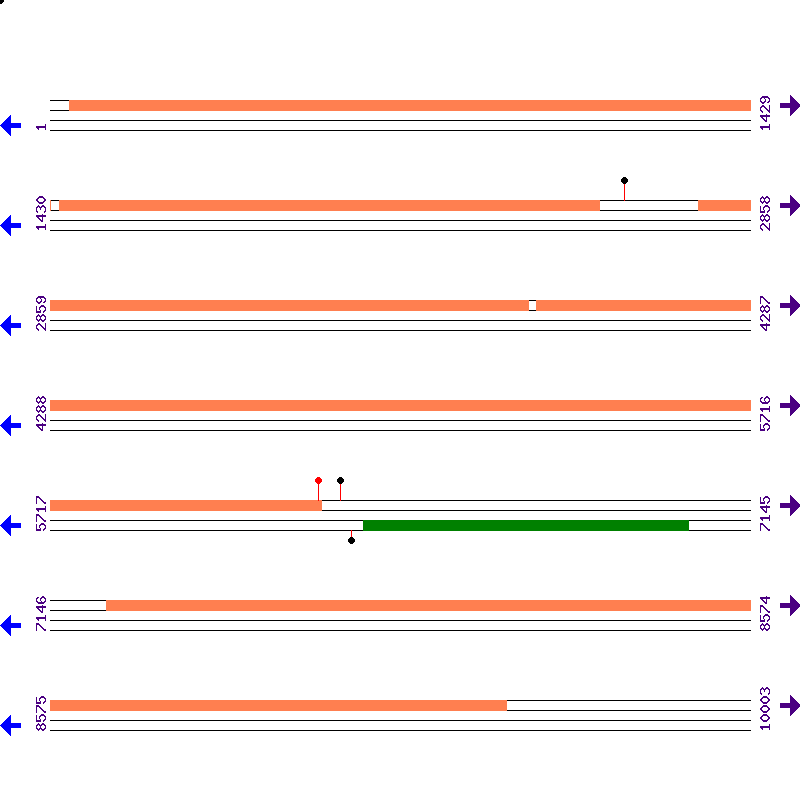 Genome View