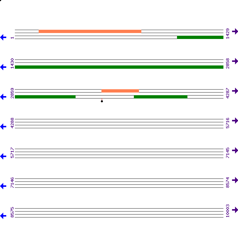Genome View