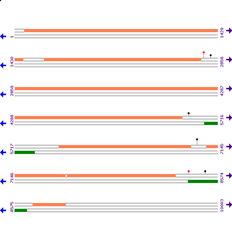 Genome View