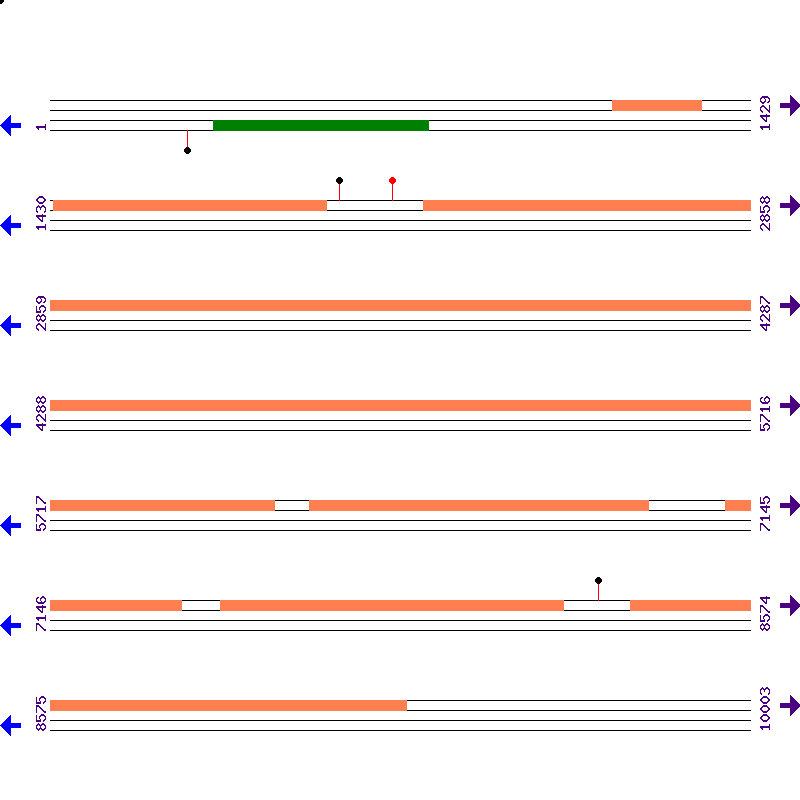 Genome View
