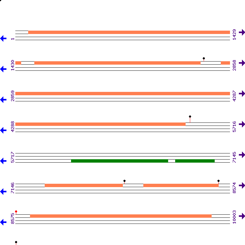 Genome View